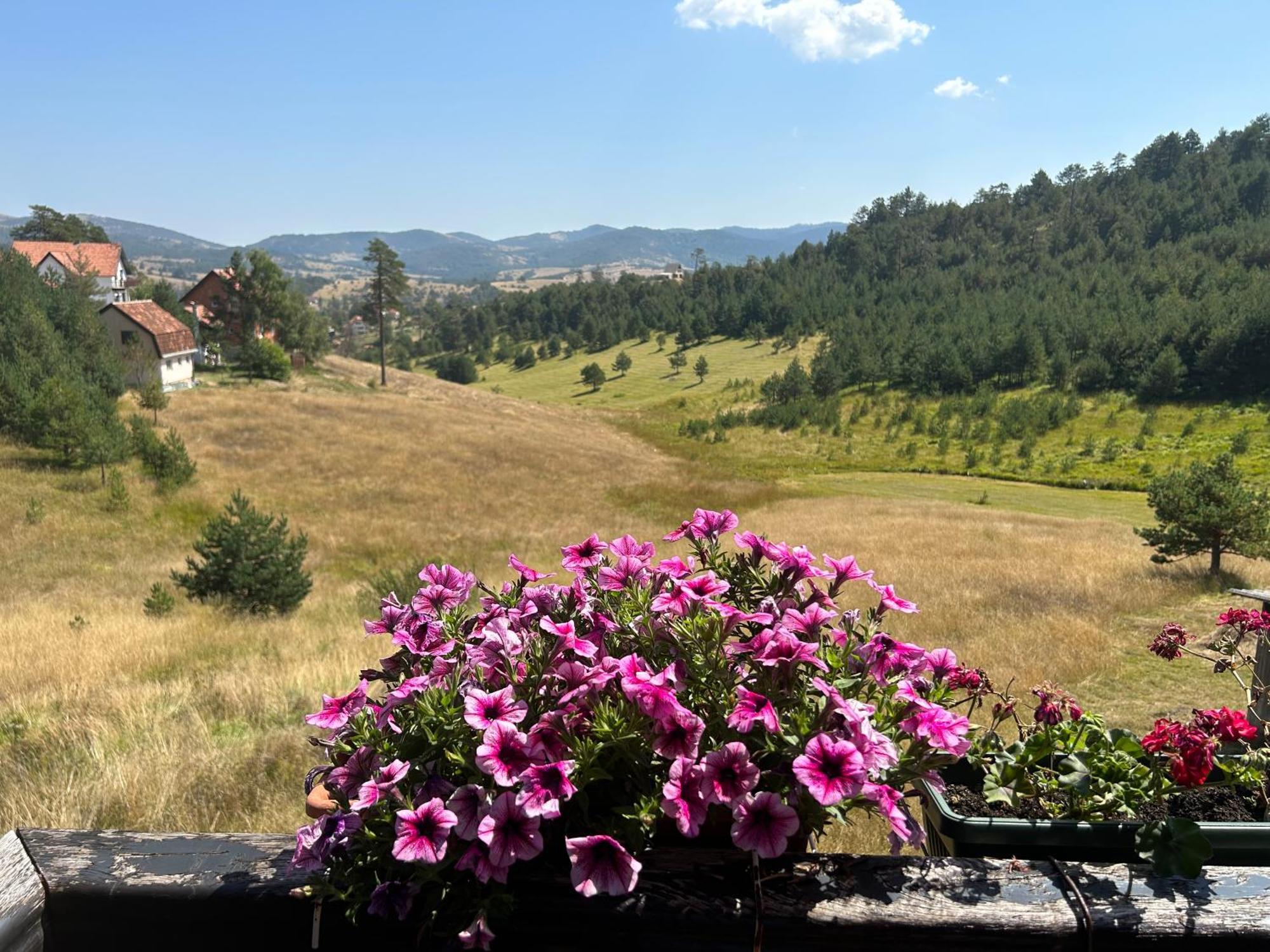 Vila Zorica Vodice Apartment Zlatibor Exterior photo